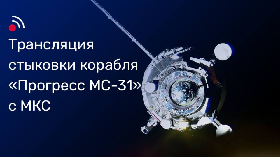   -31    
