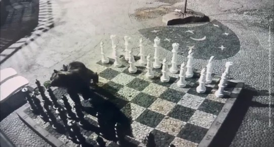   .  !
