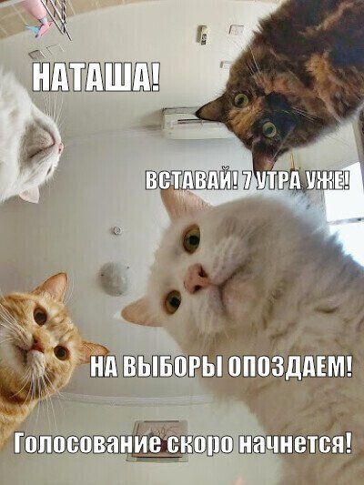 , , !     !