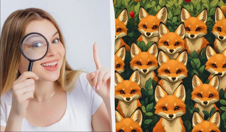  :      5 !