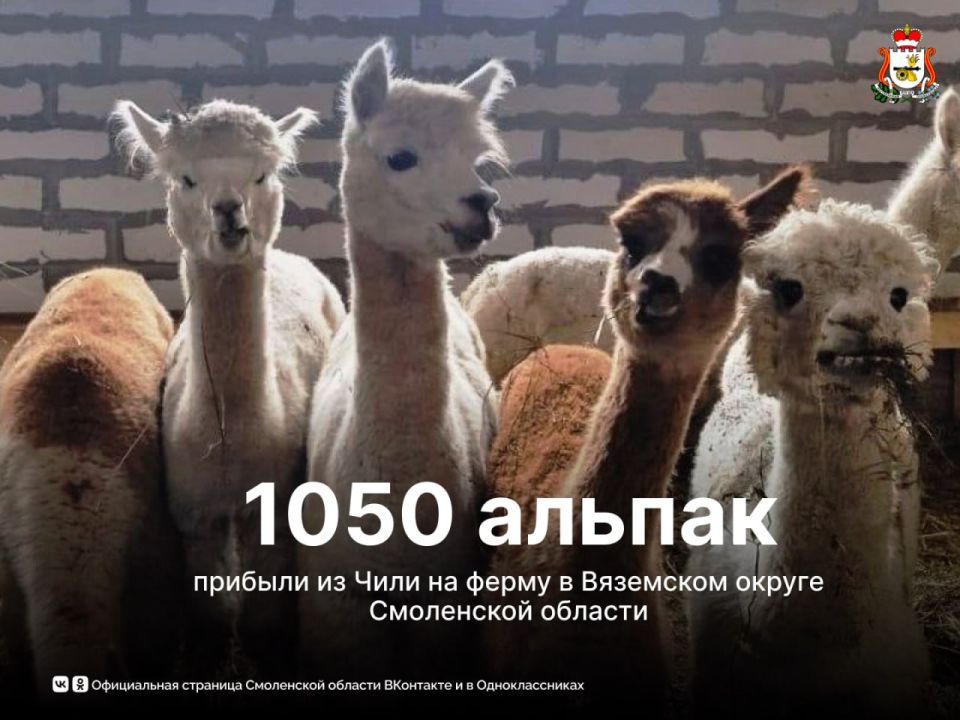 Смоленск жарнамасындағы толық жетілген жезөкшелер Смоленск жарнамасындағы толық жетілген жезөкшелер