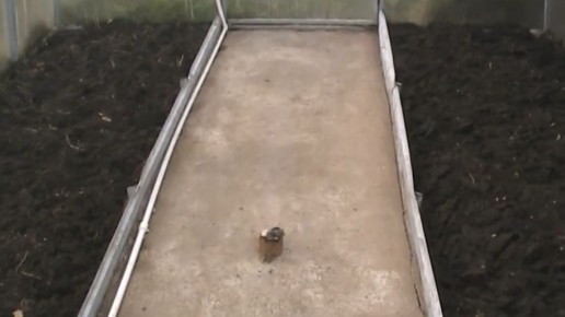     :     