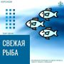 Свежая камбала по выгодной цене