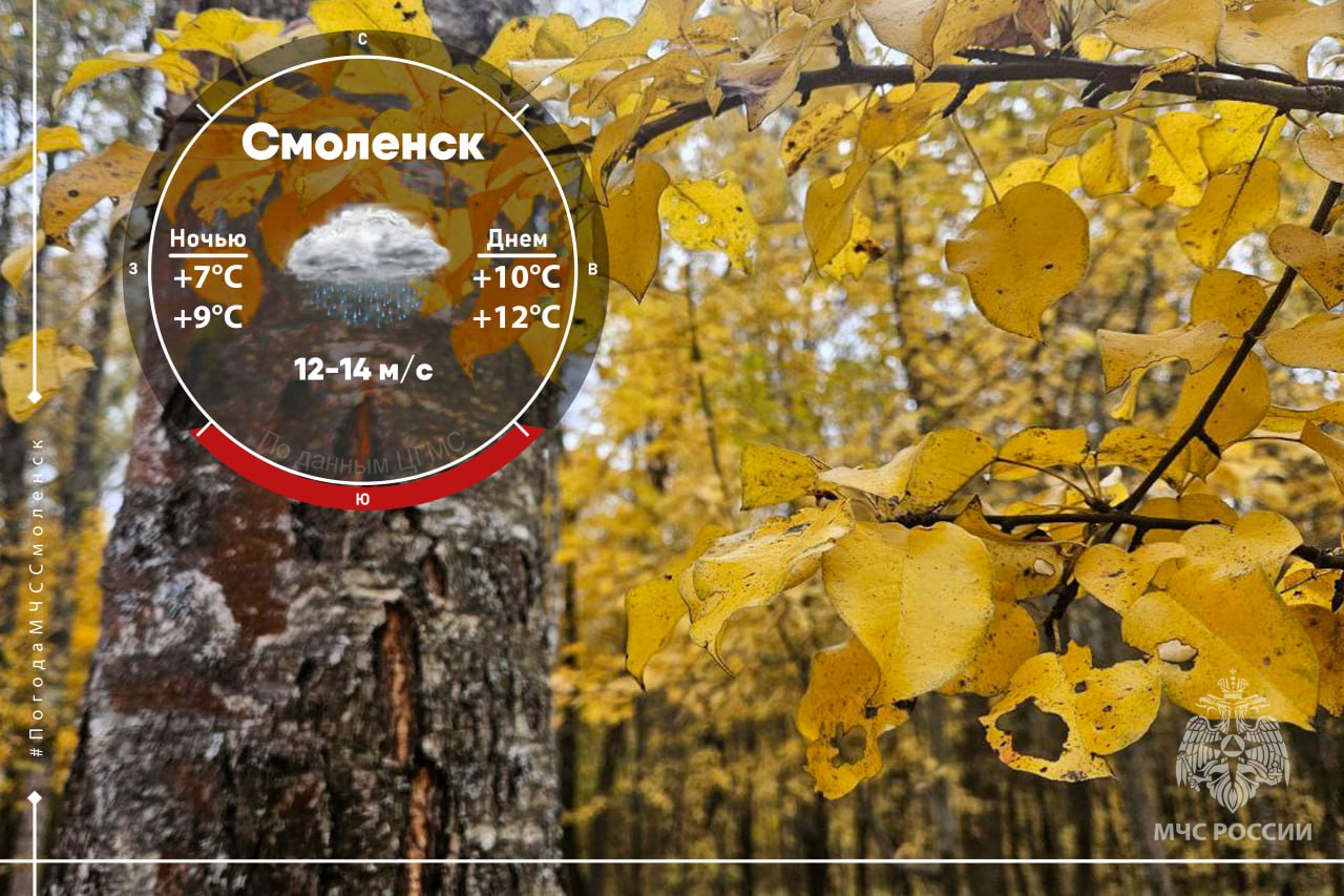 Шуршат золотом аллеи. Завтра на Смоленщине ожидается облачная погода