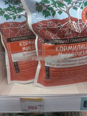 Микориза: секреты успешного роста рассады и повышенного урожая
