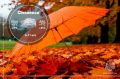 Дождь умывает усталые улицы