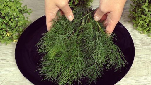 Тайны хранения зелени: как сохранить свежесть на неделю и больше