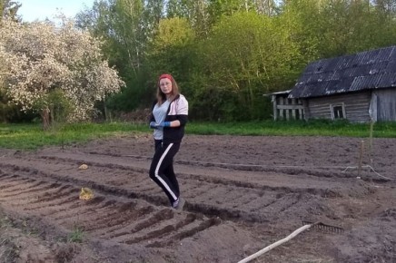 Севооборот овощных культур: ключ к здоровому огороду