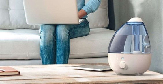 Зимний вопрос: стоит ли заботиться об увлажнении воздуха в вашем доме?