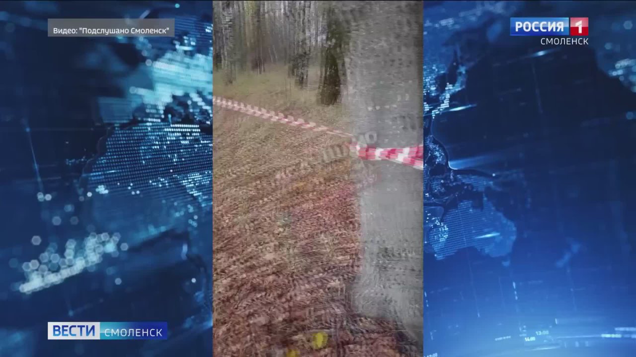 Мэр Смоленска Александр Новиков сегодня поручил провести срочную проверку вырубки деревьев в Вишенках