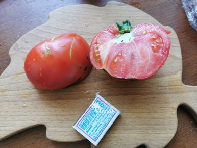 Помидор Ивановна: Неприхотливый герой огорода с выдающимся урожаем