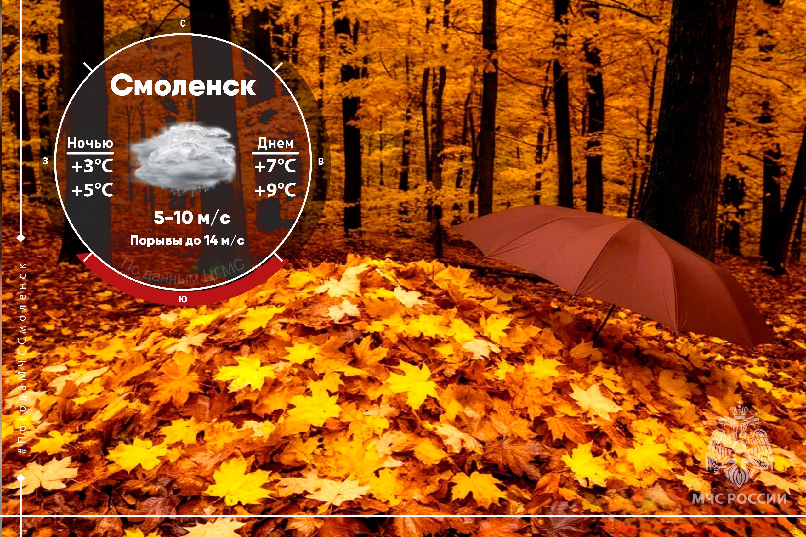 Погода на финале октября. Завтра в нашем регионе будет облачно