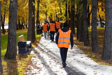  :  2023              ,     