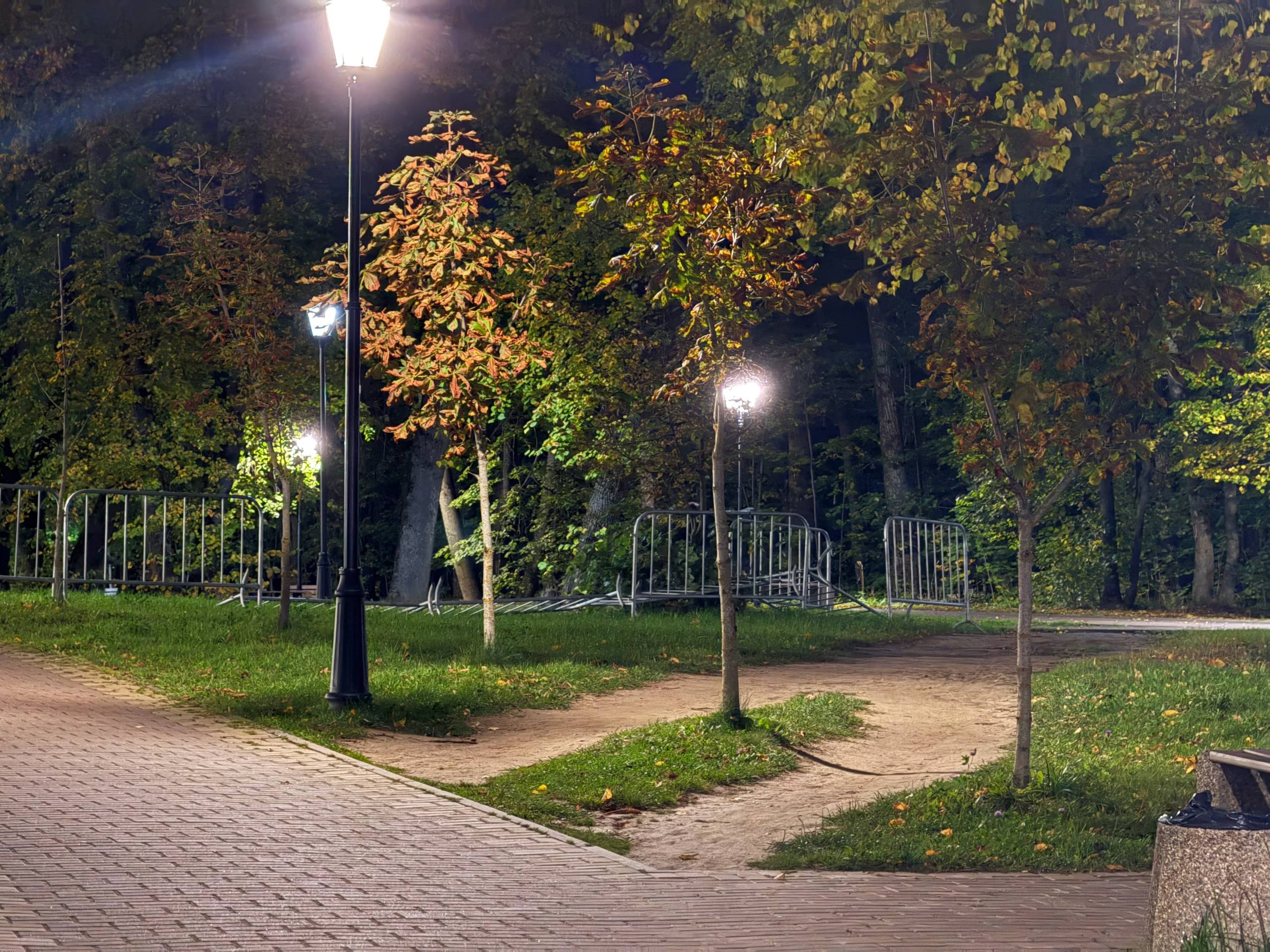 Александр Новиков: Дирекция парков ведет активные работы сразу на двух общественных пространствах города Александр Новиков: Дирекция парков ведет активные работы сразу на двух общественных пространствах города