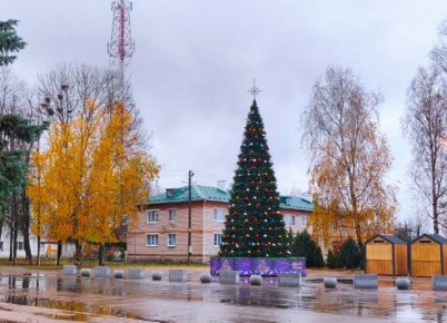 До Нового года остался 61 день, но некоторые начали готовиться к празднику уже сейчас