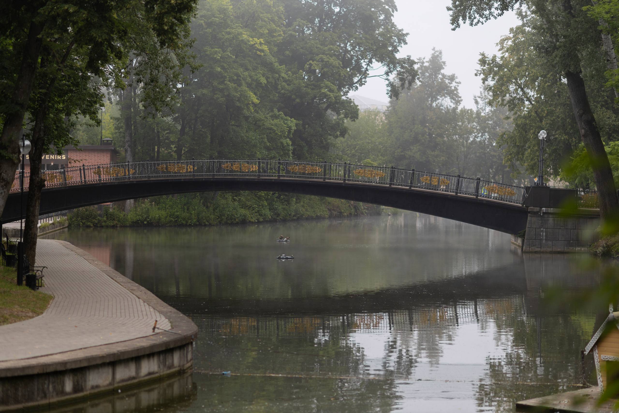 Александр Новиков: Дирекция парков ведет активные работы сразу на двух общественных пространствах города