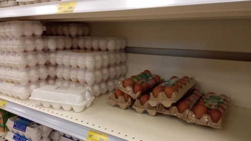 Как выбрать яйца в супермаркете: советы, о которых никто не говорит