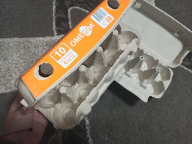 Упаковка от яиц: неожиданные возможности для вашего быта