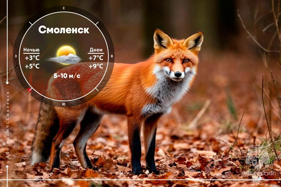 Морозный шёпоет ноября. Завтра в Смоленской области будет облачно с прояснениями, в основном без осадков