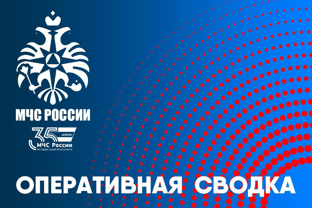 За дежурные сутки огнеборцы Смоленской области ликвидировали 6 пожаров: