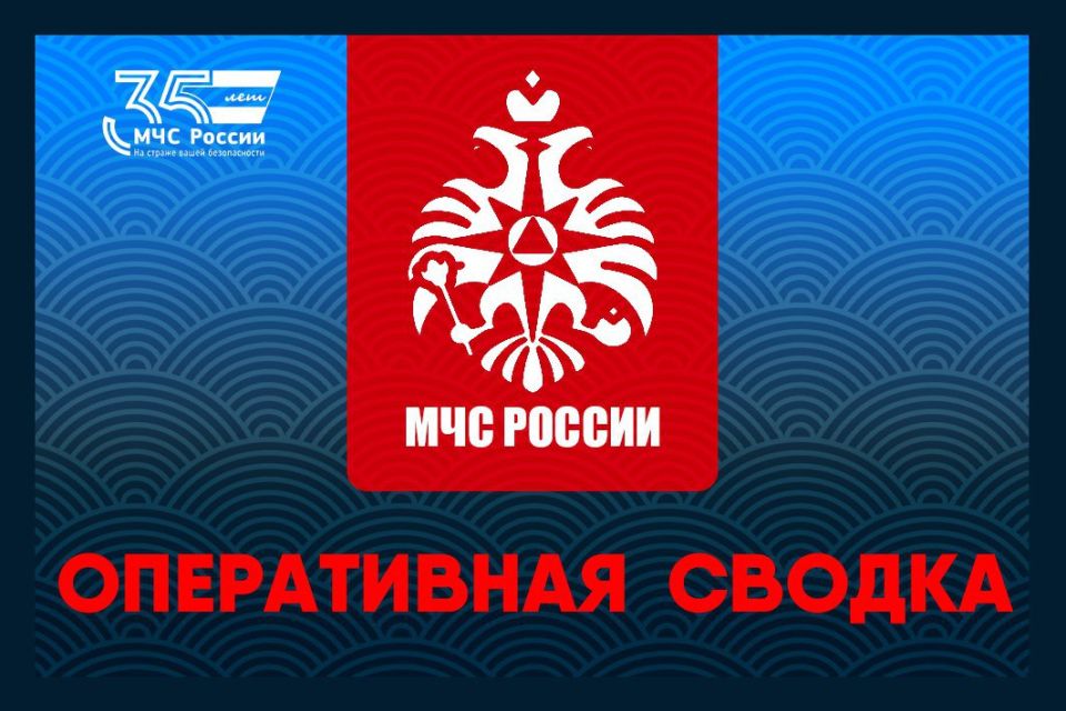 За дежурные сутки огнеборцы Смоленской области ликвидировали 6 пожаров: