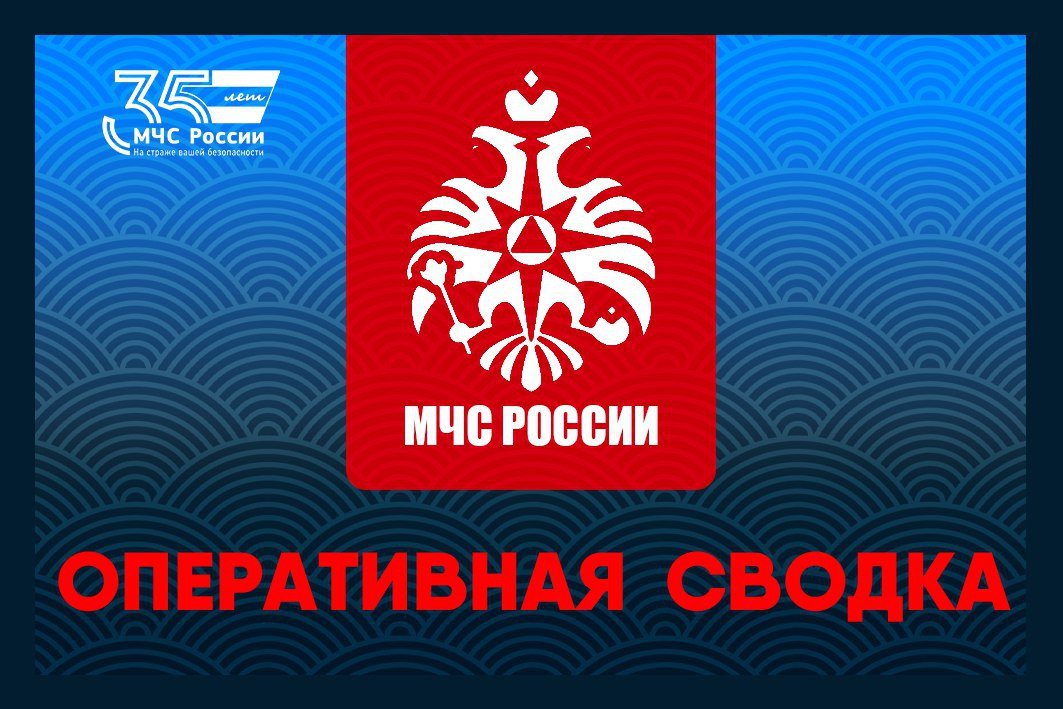 За дежурные сутки огнеборцы Смоленской области ликвидировали 6 пожаров: