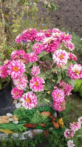 Символическая помощь или запоздалая забота: 1500 рублей для «детей войны»