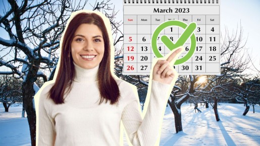 Не провороньте момент: обрезка деревьев в эти даты принесет небывалый урожай