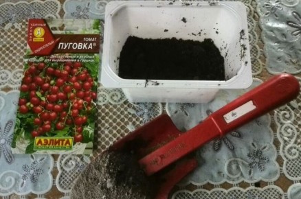 Зимние сорта томатов: как получить урожай даже в холодное время года