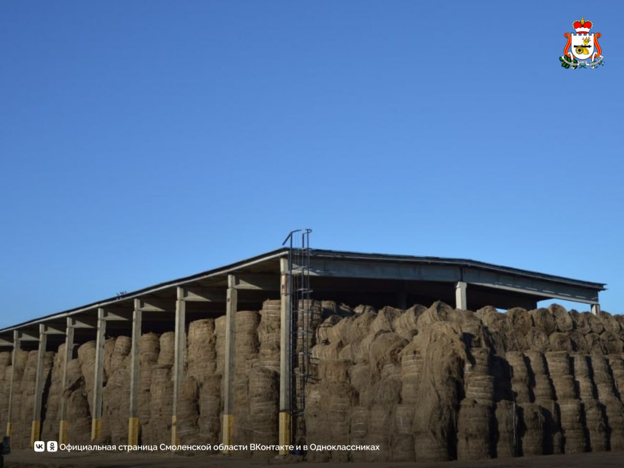 Новый льнозавод в Починковском округе подключен к газоснабжению Новый льнозавод в Починковском округе подключен к газоснабжению