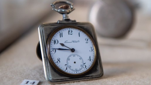 Не вздумайте развесить лук на деревьях от птиц: только зря насмешите соседей