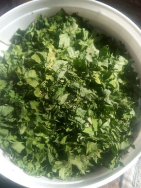 Забудьте о морозильнике: успешная сушка зелени для зимних блюд