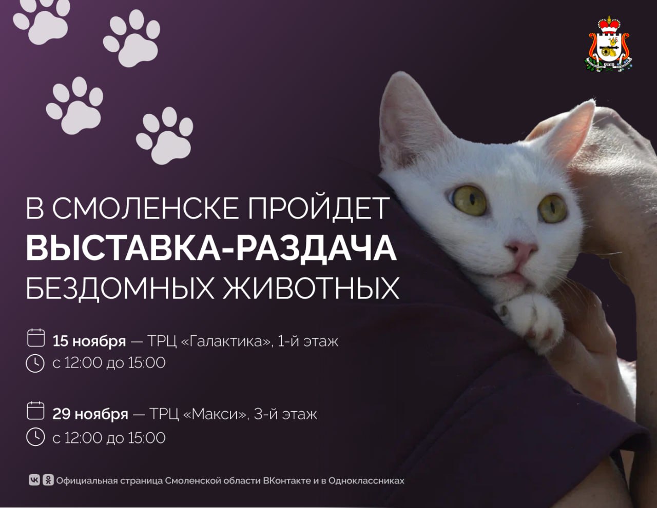 В Смоленске пройдёт выставка-раздача бездомных животных