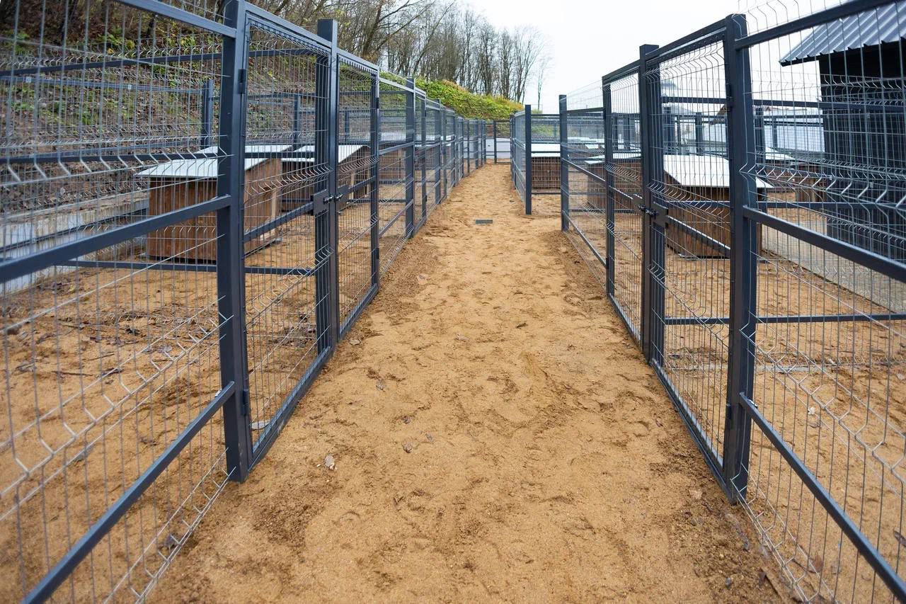 В Смоленске построен пункт временного содержания безнадзорных животных, подозреваемых в заболевании бешенством В Смоленске построен пункт временного содержания безнадзорных животных, подозреваемых в заболевании бешенством