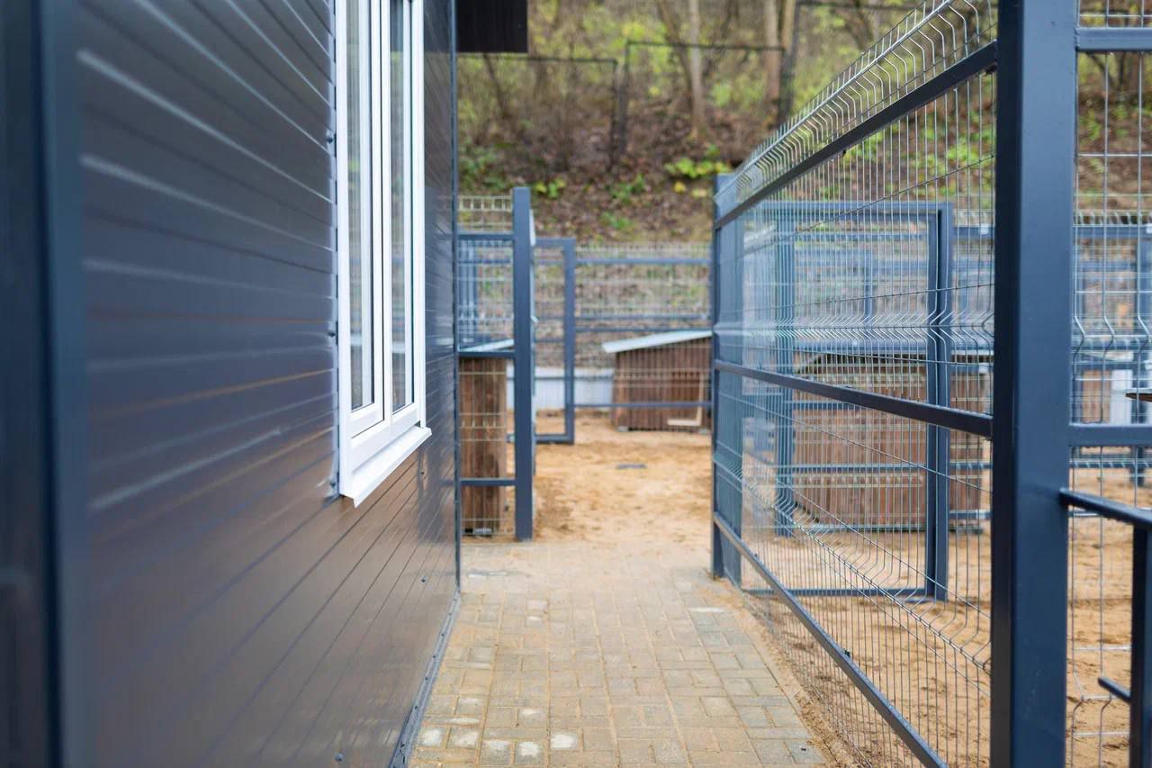 В Смоленске построен пункт временного содержания безнадзорных животных, подозреваемых в заболевании бешенством