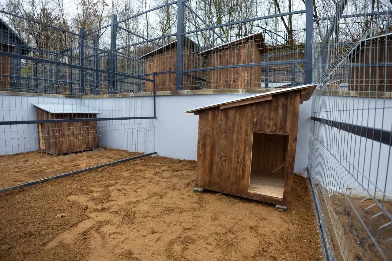 В Смоленске построен пункт временного содержания безнадзорных животных, подозреваемых в заболевании бешенством В Смоленске построен пункт временного содержания безнадзорных животных, подозреваемых в заболевании бешенством