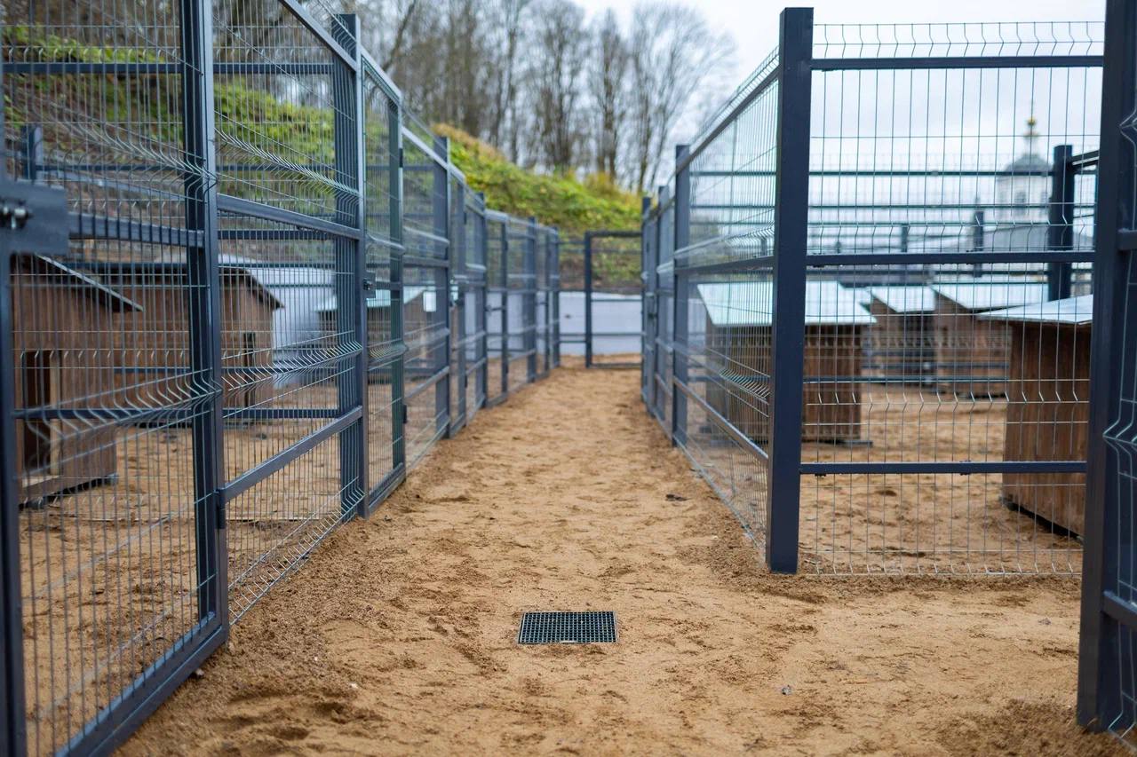 Александр Новиков: Построили пункт временного содержания безнадзорных животных, подозреваемых в заболевании бешенством Александр Новиков: Построили пункт временного содержания безнадзорных животных, подозреваемых в заболевании бешенством