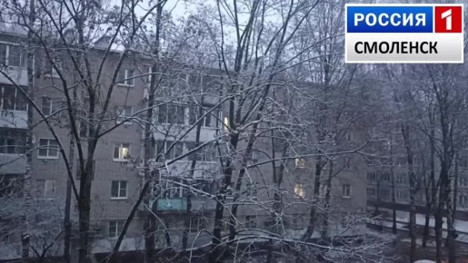 В Смоленск пришёл первы. второй снег!