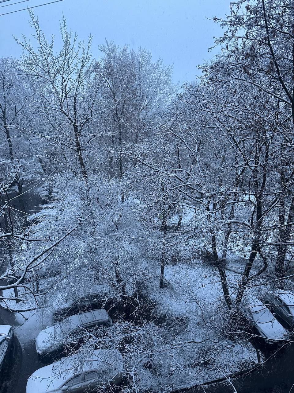 Новости к этому часу:. В Москве и Подмосковье этой ночью выпал первый снег Новости к этому часу:. В Москве и Подмосковье этой ночью выпал первый снег