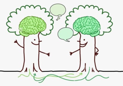 Открытия о растениях: удивительный мир зелёных друзей, о котором вы не подозревали