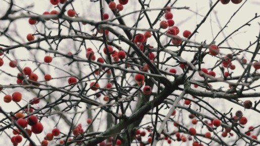 Безопасная прогулка в парке