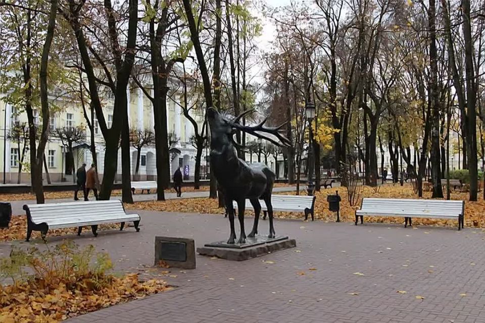Друзья, на этой неделе Смоленскую область ждет облачная погода с осадками: снегом, мокрым снегом и дождем