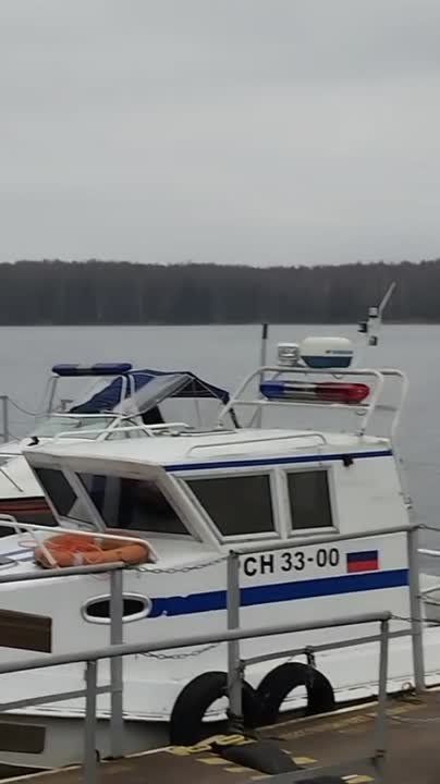 В Десногорское водохранилище выпустили 600 тысяч мальков белого амура и толстолобика