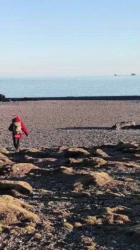 &quot;     ,  &quot;