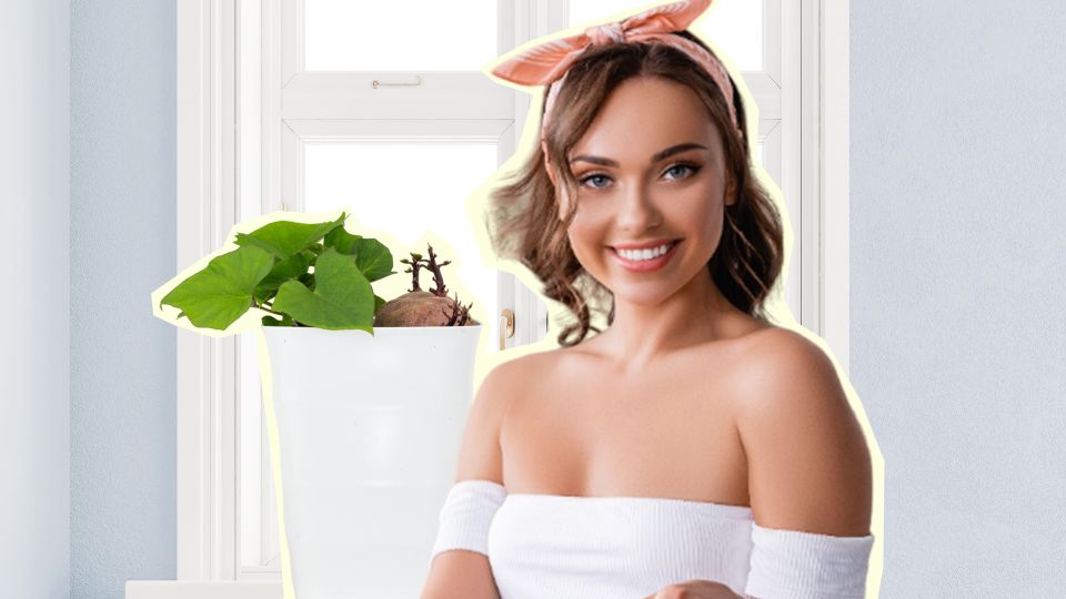 Лучшая альтернатива картофелю: вот как вырастить рассаду батата дома