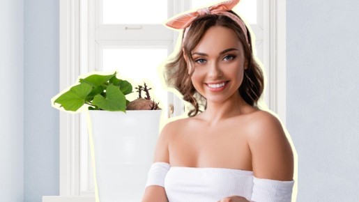 Лучшая альтернатива картофелю: вот как вырастить рассаду батата дома