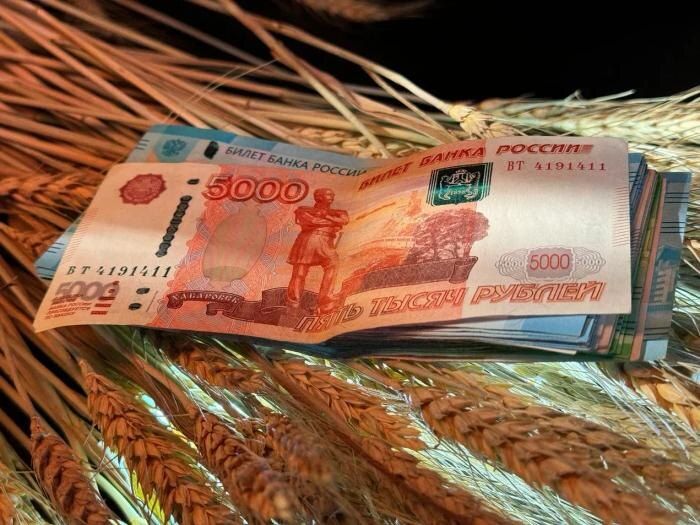 Как россияне могут увеличить свою пенсию до 80 тысяч рублей: все условия