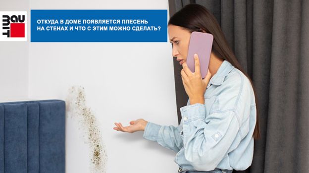 Почему плесень на стенах — опасная проблема для вашего дома и здоровья
