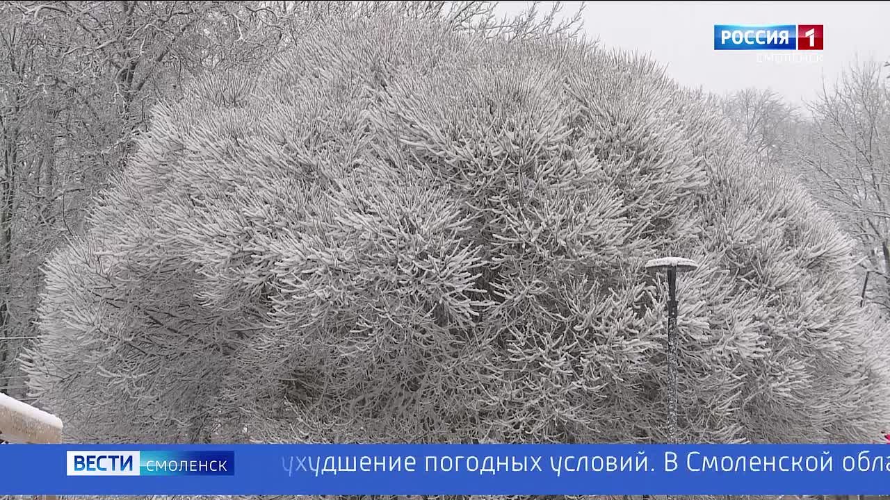 В Угранском и Темкинском районе зафиксирована гроза