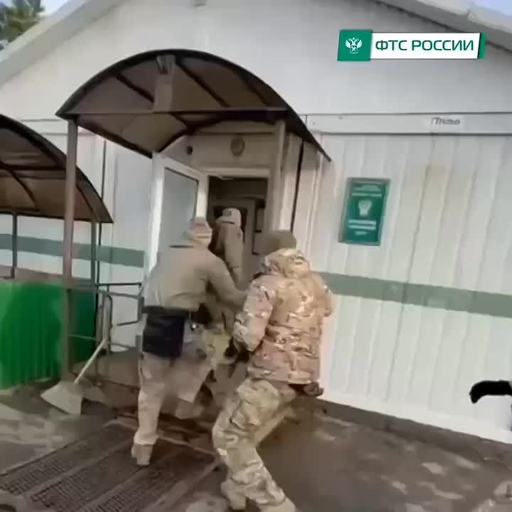 Громкие задержания в Смоленской таможне: сотрудники систематически получали взятки